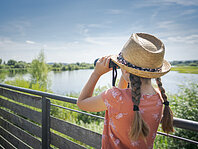 Vogelinsel Altmühlsee