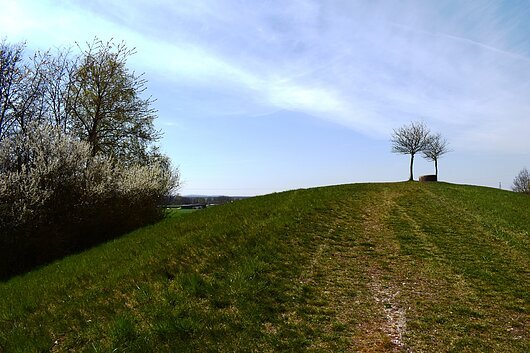 Grüne Landschaft im Frühling