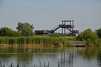 Blick auf den Ausischtturm der Vogelinsel und die Vogelinsel mitten im See.