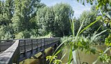 Brücke an der Vogelinsel