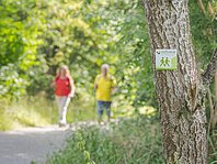 Wandertour am Altmühlsee