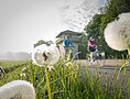 Radfahrer am Limes-Radweg beim Limesturm Erkertshofen