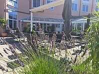 Der lila blühende Lavendel direkt an der Terrasse versperrt ein wenig die Sicht. Im Hintergrund ist die rosafarbende Fassade des Hotels erkennbar, sowie Sonnenschirme.