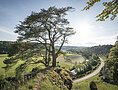 Frau sitzt unter großem Baum auf Felsen mit Blick auf Fluss, Straße und grüne Landschaft bei Sonnenschein.