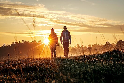 Zwei Personen gehen bei Sonnenaufgang &uuml;ber eine Wiese mit hohem Gras und B&auml;umen im Hintergrund.