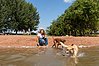 Hundestrand am Altmühlsee